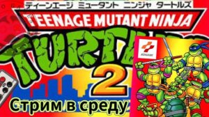 Игра Teenage Mutant Ninja Turtles II: The Arcade Game.

Игрок управляет одним из четырёх черепаше