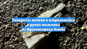 Раскрыты детали о взорвавшейся в руках мальчика из Красногорска бомбе