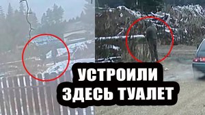 Вот это ДА! 😱 Они устроили ТУАЛЕТ перед нашими окнами 💩