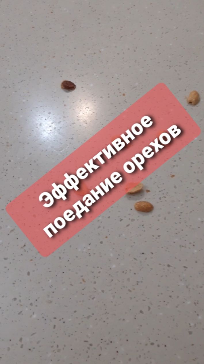 Юмор эффективное поедание орехов смотреть онлайн