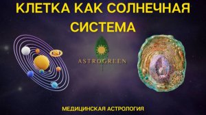 Клетка человека как Солнечная система. Разбор клетки и планет. Медицинская астрология | Astrogreen