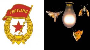 М16А4 (Голова, глаза) / Stay Out