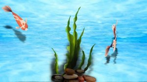 Рыбки 2(нарезкой) PTE AV Studio