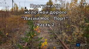 Прогулка по железной дороге "Лисий Нос - Порт". Часть 2