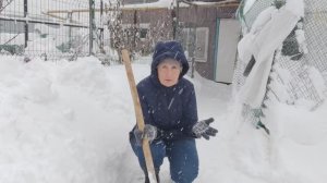 Неравная борьба. Дневник за 12 ноября