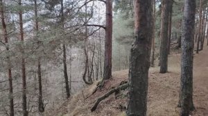 Дружба на работе по найму в организации