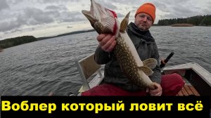 Каким воблером ловить, когда клюет плохо.