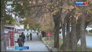 Глава Ставрополья поручил провести разъяснительные беседы в школах и детских садах