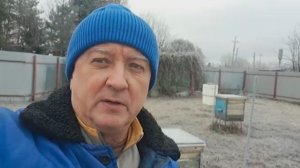 Первый месяц зимовки позади. Несколько слов про добрых пчёл