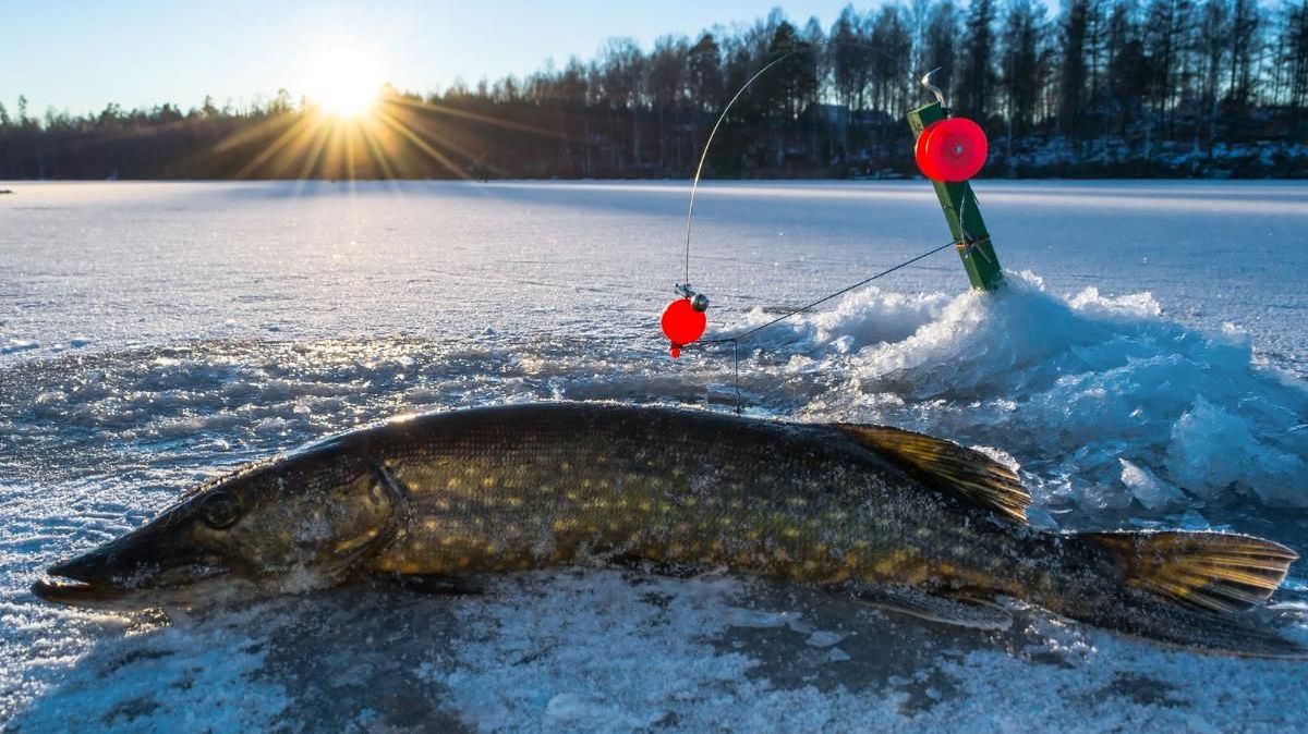 Рыбалка и Охота в Сибири Новая Часть Делаем Снасти Для Зимней Рыбалки. Показываю наглядно