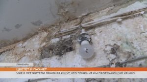 Протекает крыша и растёт плесень в доме на улице Комсомольской в Лямбире