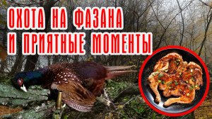 ОХОТА НА ФАЗАНА И ПРИЯТНЫЕ МОМЕНТЫ