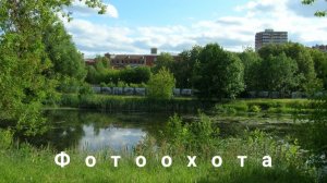 12 ноября - синичкин день