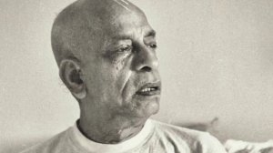 Лекция Шрилы Прабхупады 12.11.1974, Бомбей. ШБ 3.25.12. Когда Господь улыбается.