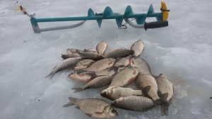 Самая Лучшая Зимняя Рыбалка. Продолжение нашей истории