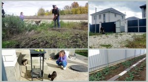 304 Жизнь на юге. Стало не интересно смотреть. Дочь не хочет возвращаться домой. Уборка возле дома.