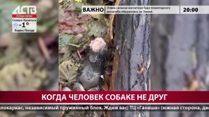 «Наш день»: 12 ноября 2025