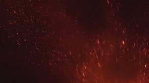 10 ноября – День сотрудника органов внутренних дел Российской Федерации