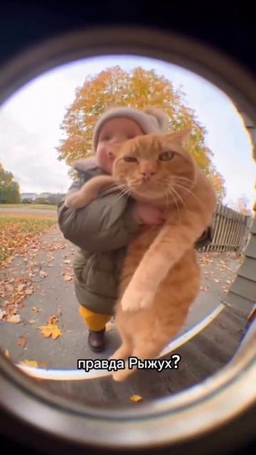 Мы нагулялись!