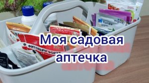 Какими препаратами обработать растения от болезней и вредителей.