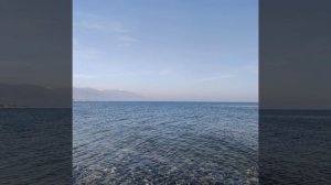 Утро гот2 .mp4