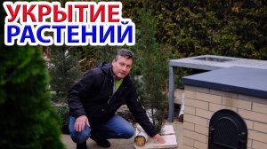 Укрытие растений с использованием современных технологий и пенопласта