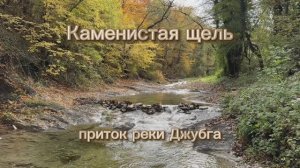 Каменистая щель – живописный приток реки Джубга. Туапсинский р-н. Краснодарский край