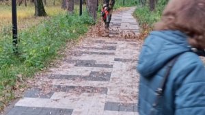 Турбодворник