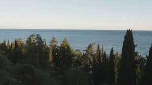 Квартиры в частном секторе Ялты (два разных двора).