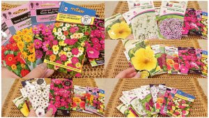 Перебираю семена цветов к новому сезону. Приятно шуршать пакетиками. Думала, не буду сажать, но ...