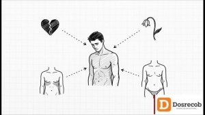 Пиво и мужская сила... давайте разбираться...