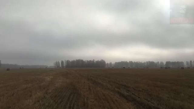 ЗЕМЛЯ ЖИВОРАДЯЩАЯ. Страшные истории на ночь 🫣🫣🫣 смотреть онлайн