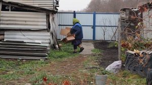 Что можно посадить под зиму кроме чеснока? Будете удивлены, что опытные сажают в ноябре!