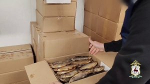 Выявленный полицией торговец немаркированной вяленой рыбой ожидает суда в Нижегородской области