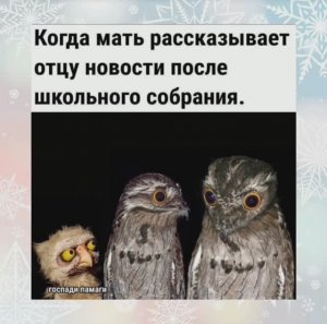 Приколы, анекдоты, юмор, статусы 🔥