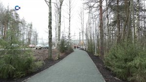 Благоустройство Докторской аллеи в Петрозаводске завершено