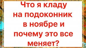 Что я кладу на подоконник в НОЯБРЕ и почему это МЕНЯЕТ все?