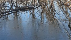 % улова впечатлил. Рыбалка поздней осенью