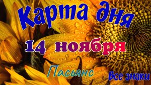 Карта дня 🍁14 ноября 2025🌾🌞Пасьянс.Тайм-код в описании🦢