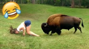 Топ-100 Самых смешных Видео с Неудачами в Мире 😂