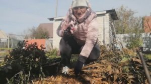 8,9.10 Осенняя дача. Там где будут цветы..