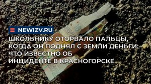 Школьнику оторвало пальцы, когда он поднял с земли деньги: что известно об инциденте в Красногорске