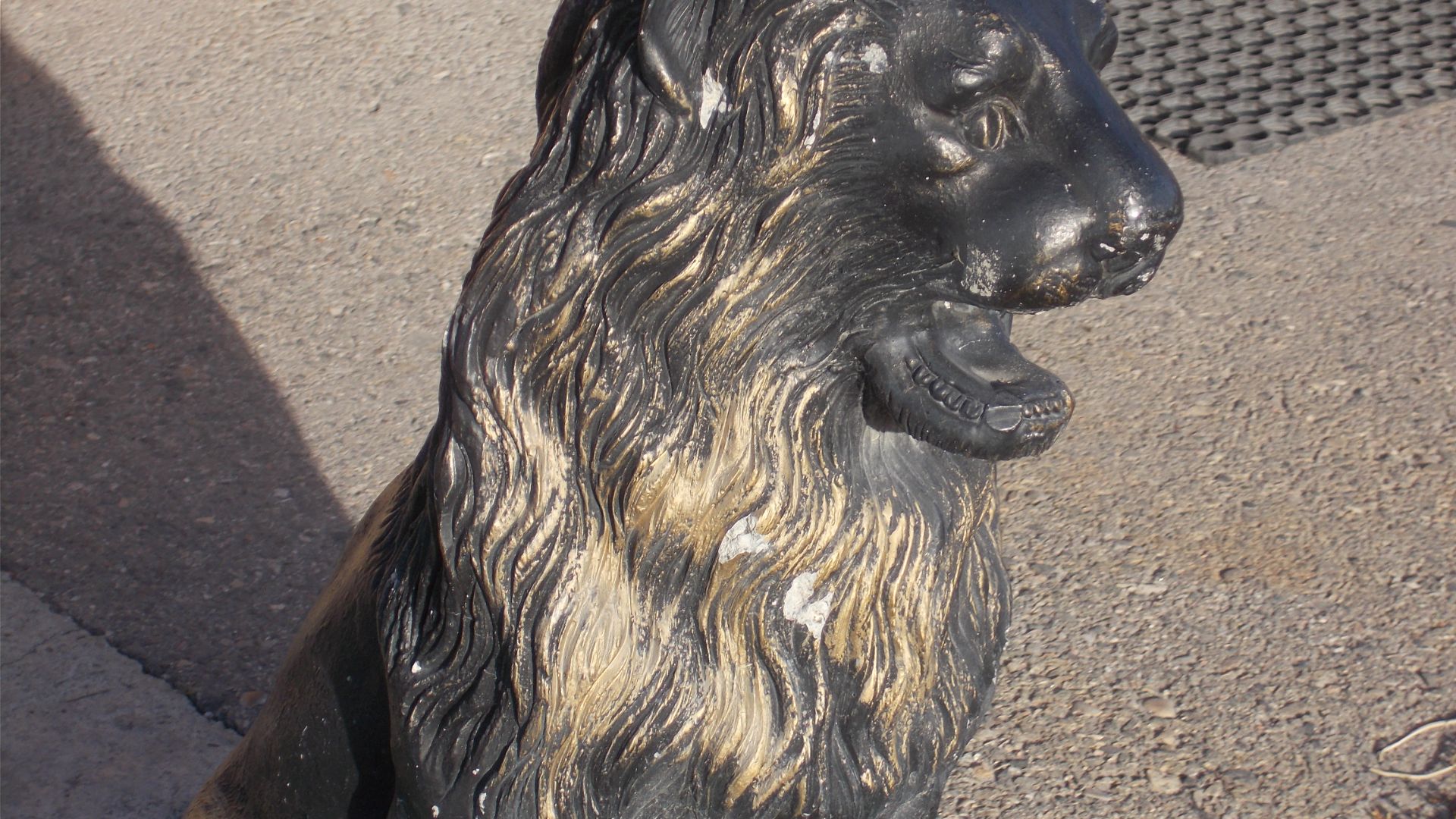 DSCN8455Осенний Архыз,канатка,ферма Альпаки ноябрь 2025