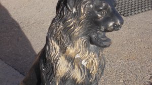 DSCN8455Осенний Архыз,канатка,ферма Альпаки ноябрь 2025