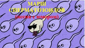 МАРШ СПЕРМАТОЗОИДОВ (песня с юмором)