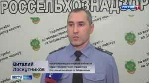 Россельхознадзор ввел карантинный режим в лесах Тунгокоченского и Шилкинского округов