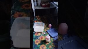 утро с реборноми ♥️