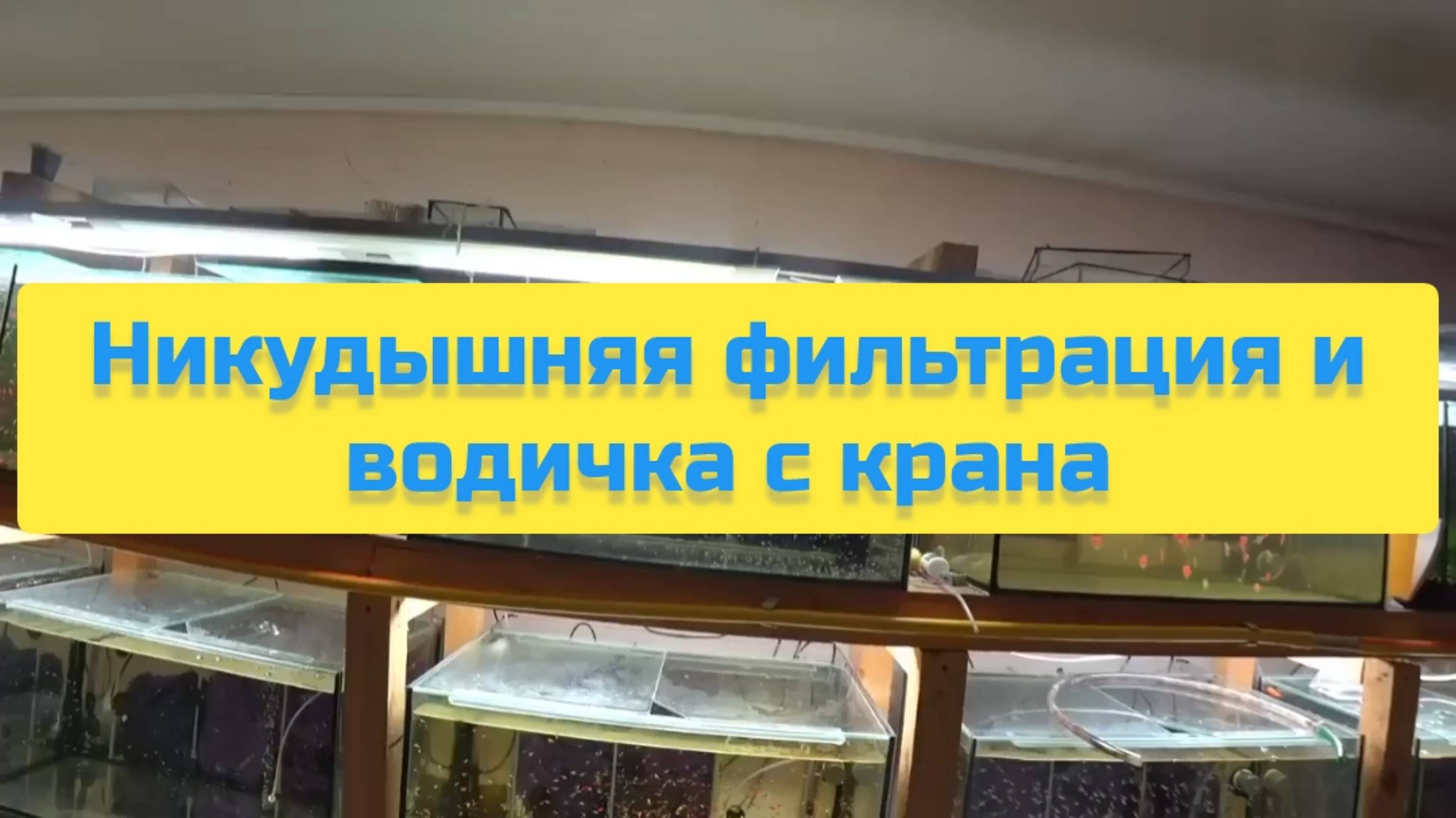 НИКУДЫШНАЯ ФИЛЬТРАЦИЯ И ВОДИЧКА С КРАНА смотреть онлайн