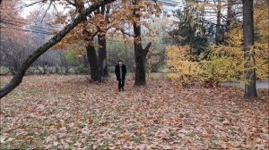 БРАТ ( В Поисках Брата Сериал )