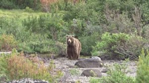 - Доброе утро, миша!